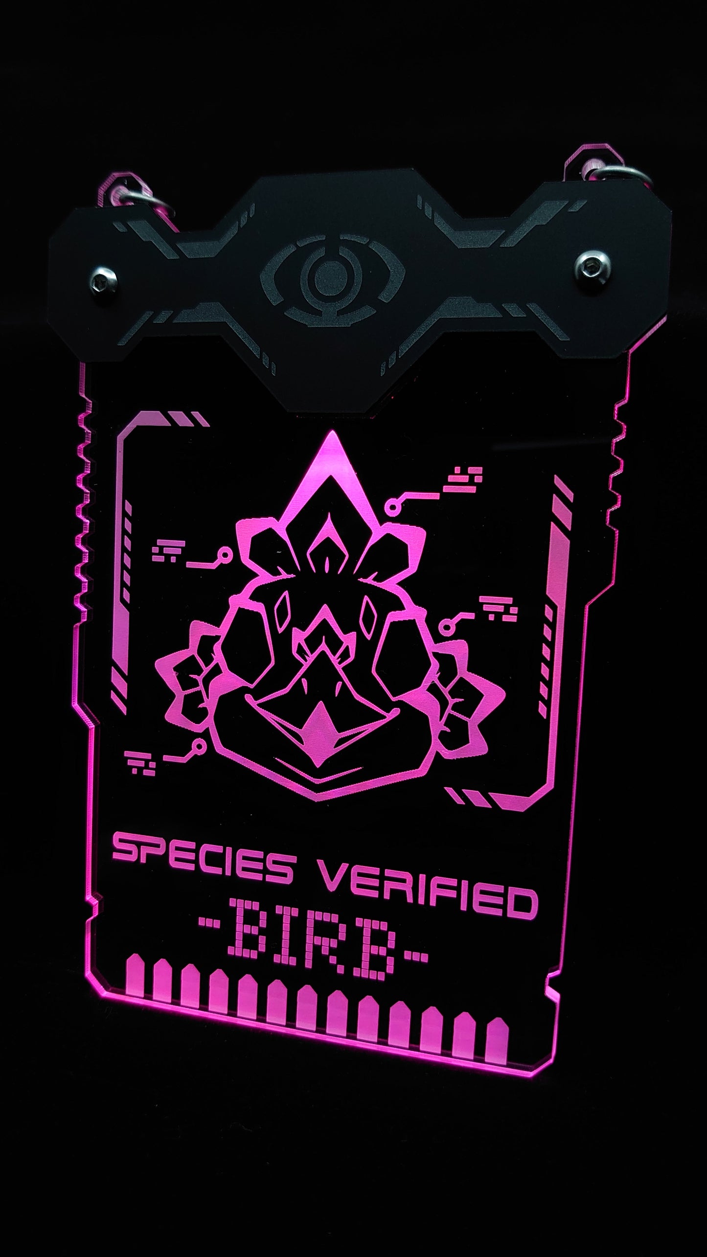 BIRD/BIRB SPECIES VERIFIED BADGE