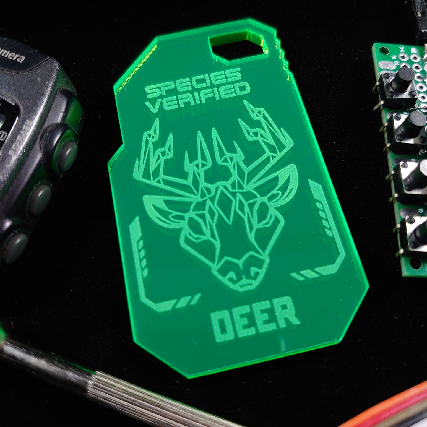 DEER / STAG SPECIES VERIFIED TAG