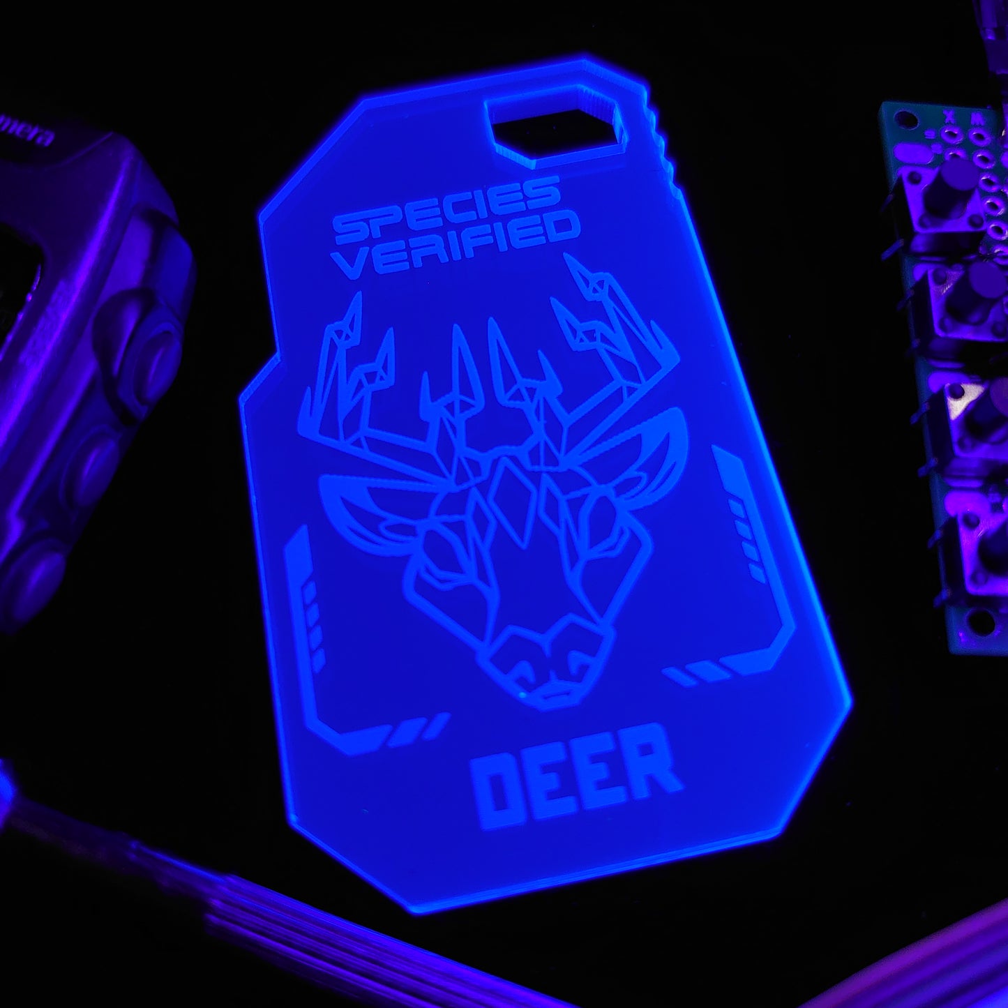 DEER / STAG SPECIES VERIFIED TAG