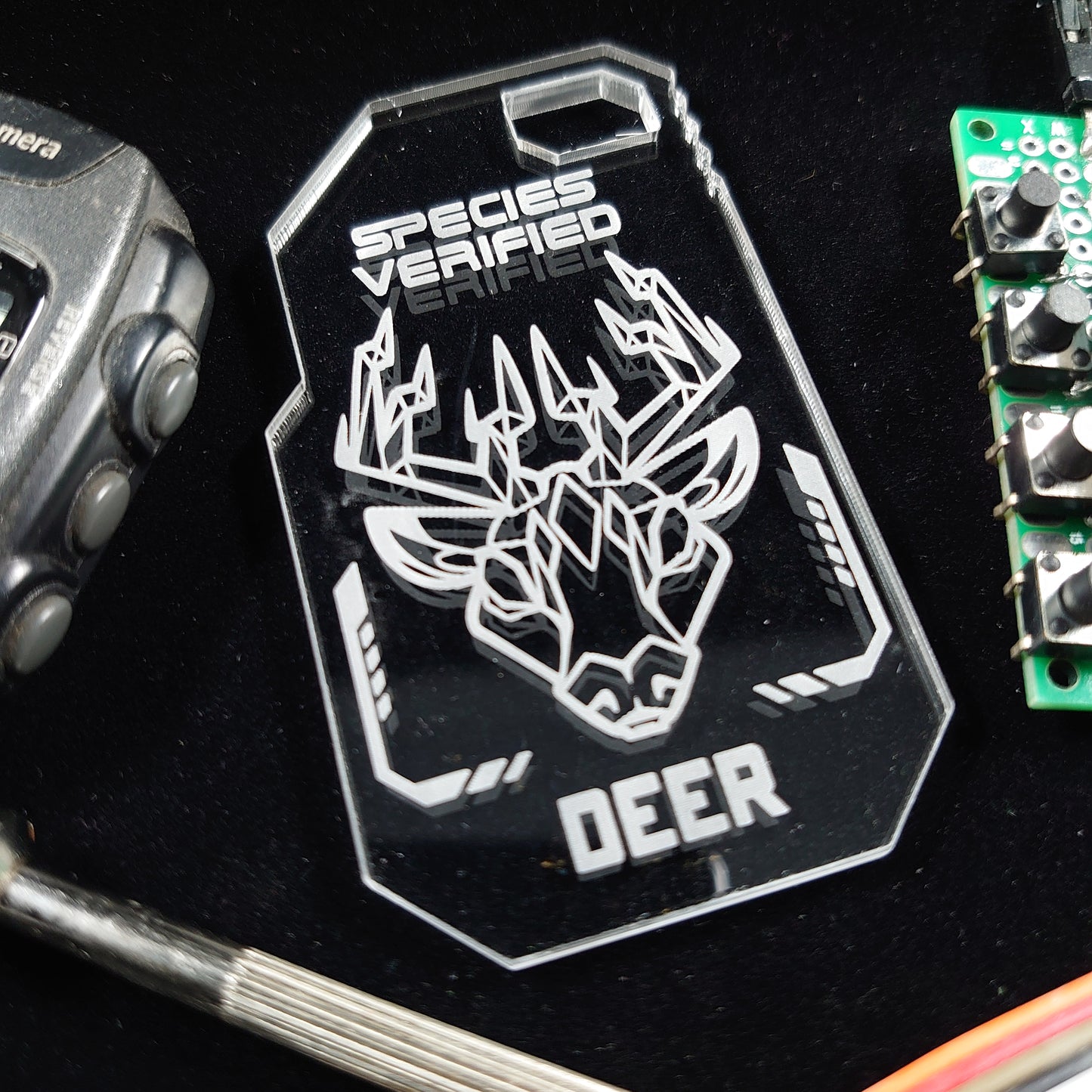 DEER / STAG SPECIES VERIFIED TAG