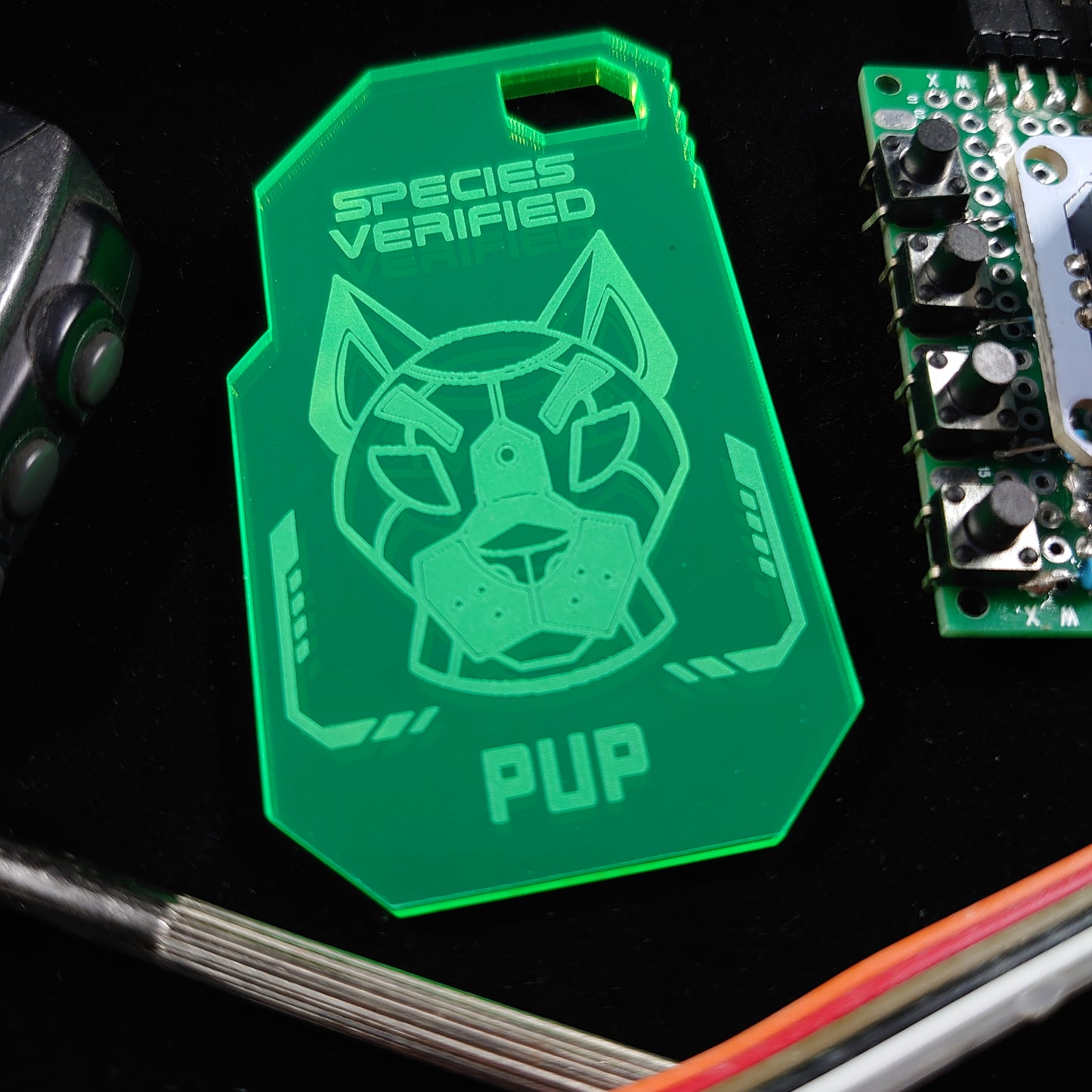 PUP SPECIES VERIFIED TAG