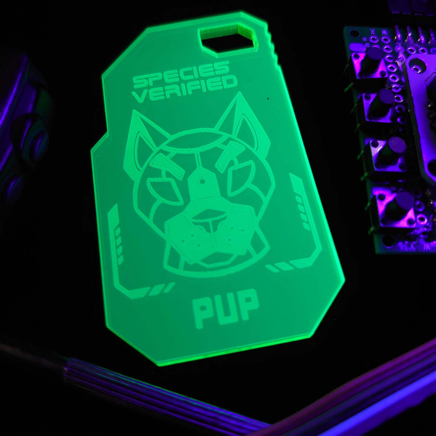 PUP SPECIES VERIFIED TAG