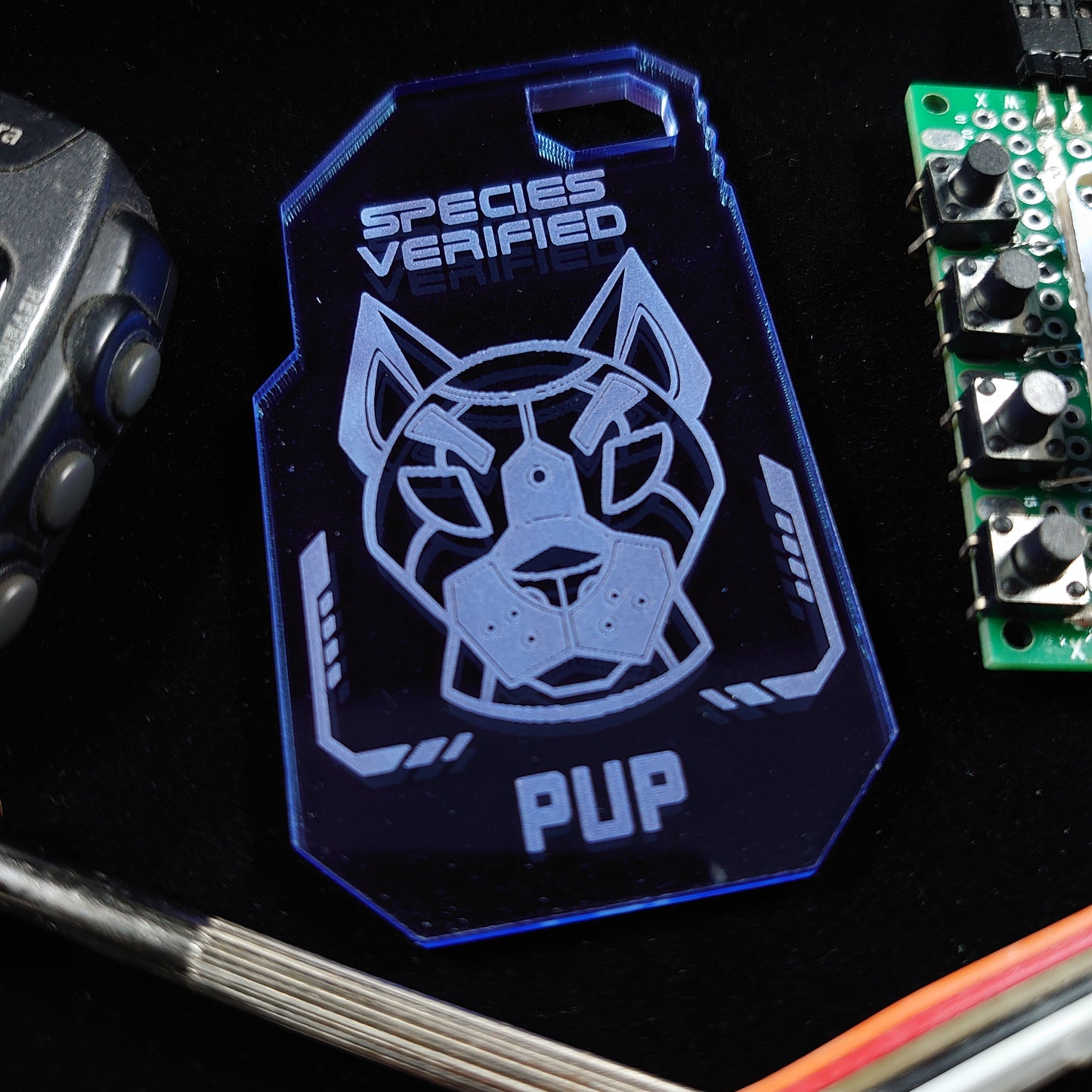 PUP SPECIES VERIFIED TAG