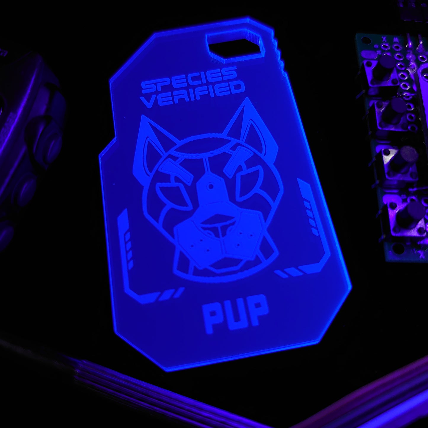 PUP SPECIES VERIFIED TAG