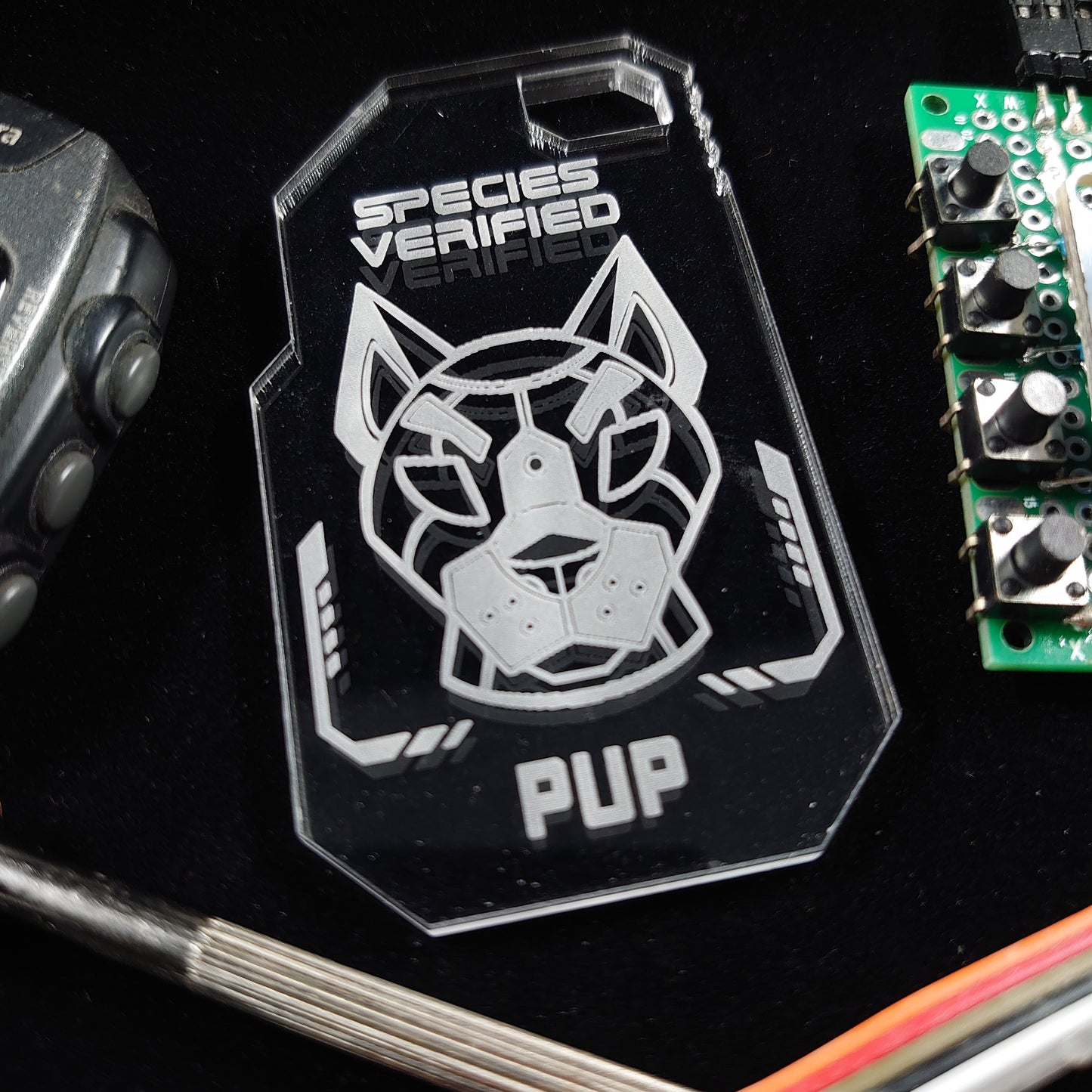 PUP SPECIES VERIFIED TAG