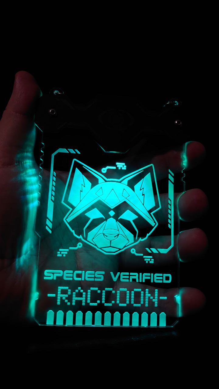 RACCOON SPECIES VERIFIED BADGE